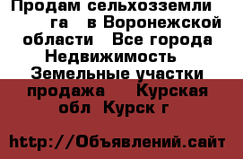 Продам сельхозземли ( 6 000 га ) в Воронежской области - Все города Недвижимость » Земельные участки продажа   . Курская обл.,Курск г.